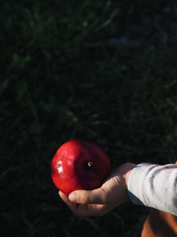 Evafedeveka photography farmlife community supported agriculture